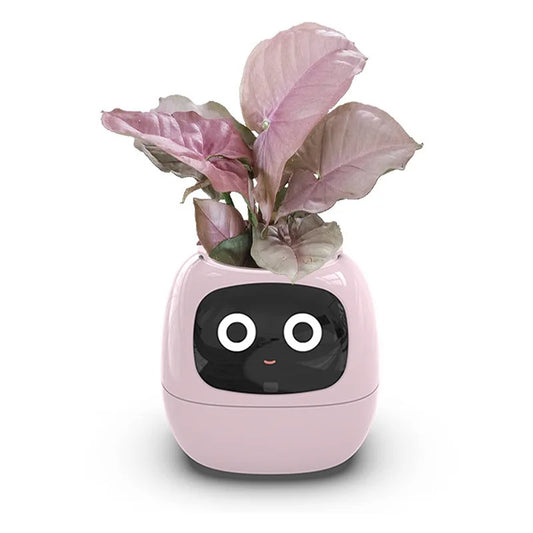 Blumibot