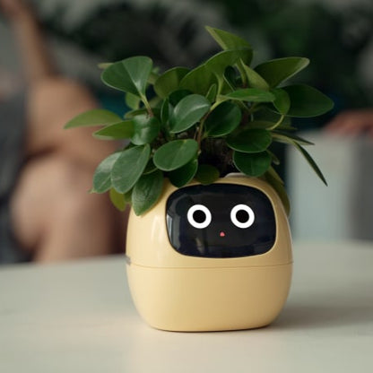 Intelligenter emotionaler Pflanztopf